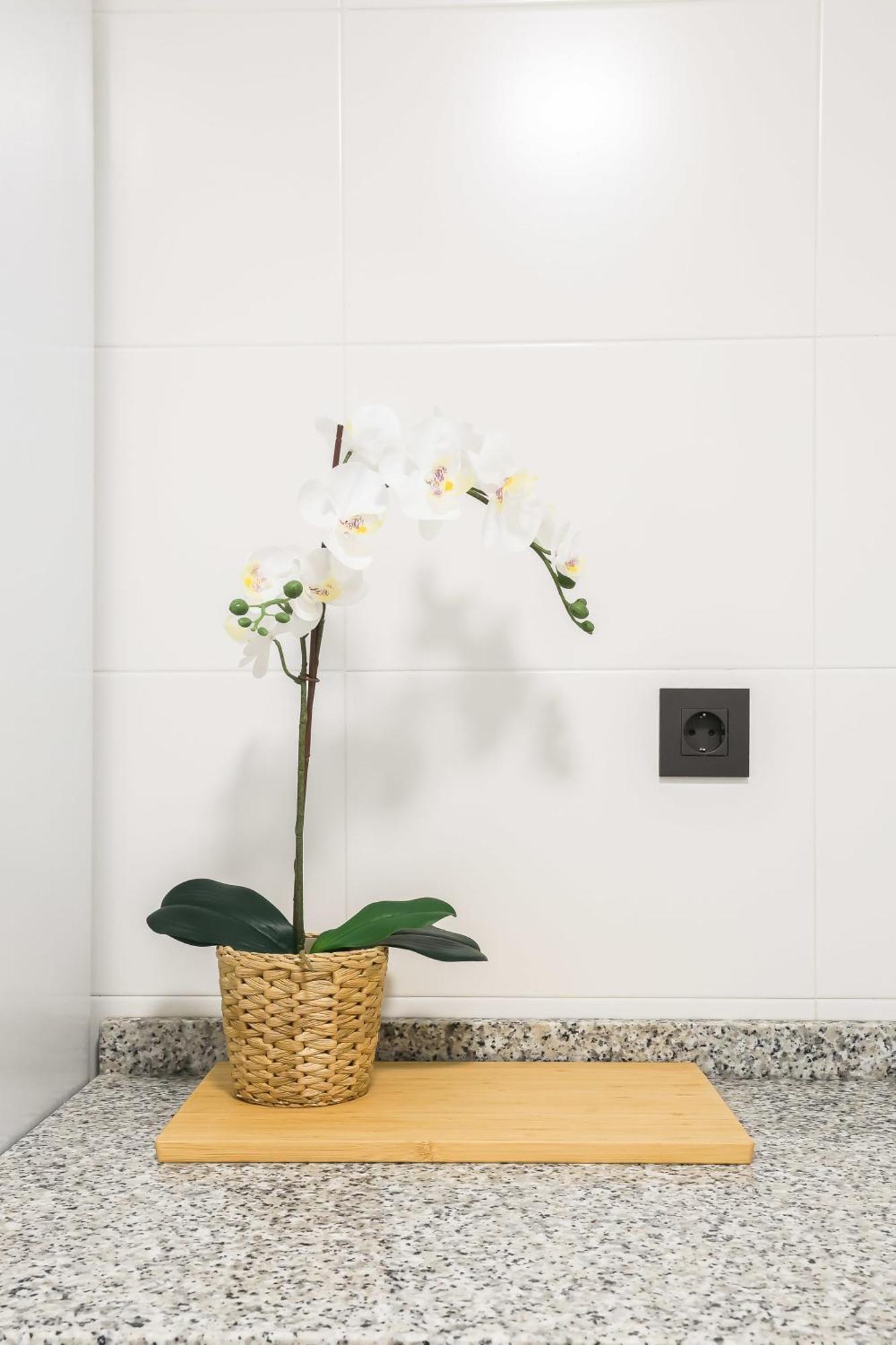 Apartamento Palermo Living Suites En Burriana Buitenkant foto